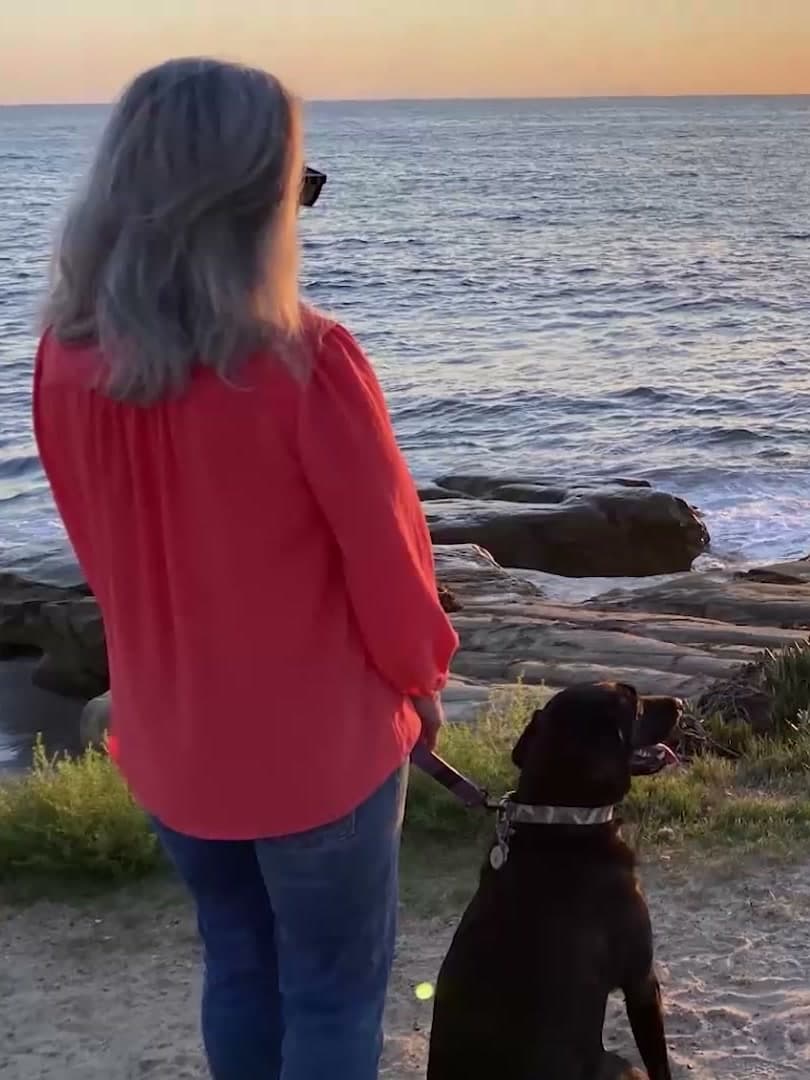 A woman and a black lab pausing on their shoreline walk to watch the sunset, from the novel trailer