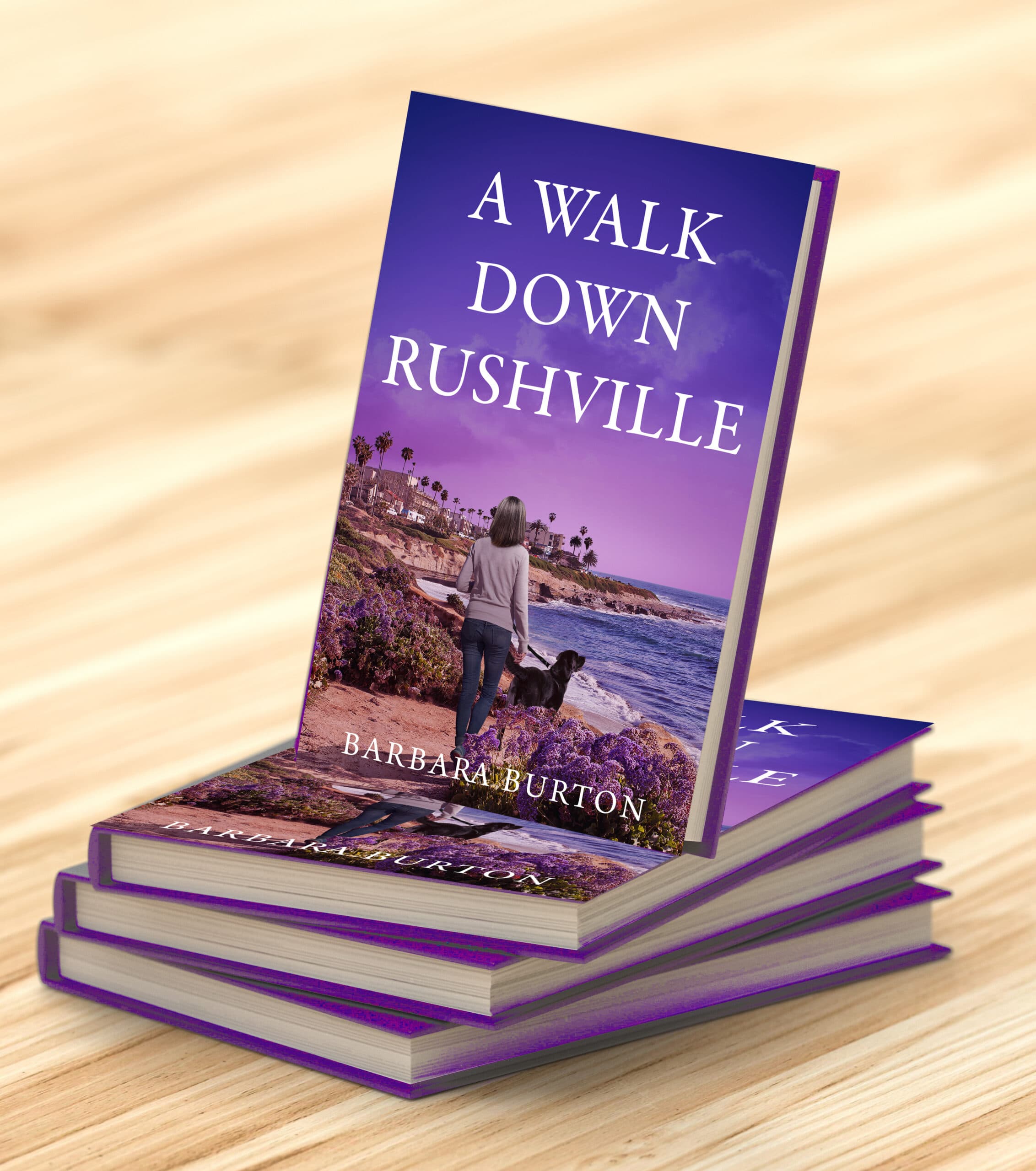 A Walk Down Rushville, a novel by Barbara Burton